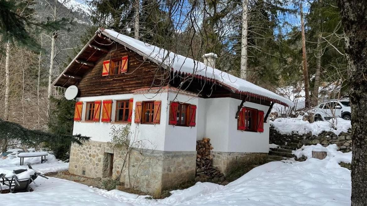 Chalet Le Tyrolien, Au Coeur Du Boreon Saint-Martin-Vesubie Bagian luar foto