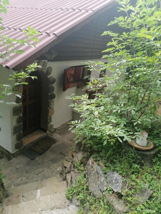 Chalet Le Tyrolien, Au Coeur Du Boreon Saint-Martin-Vesubie Bagian luar foto