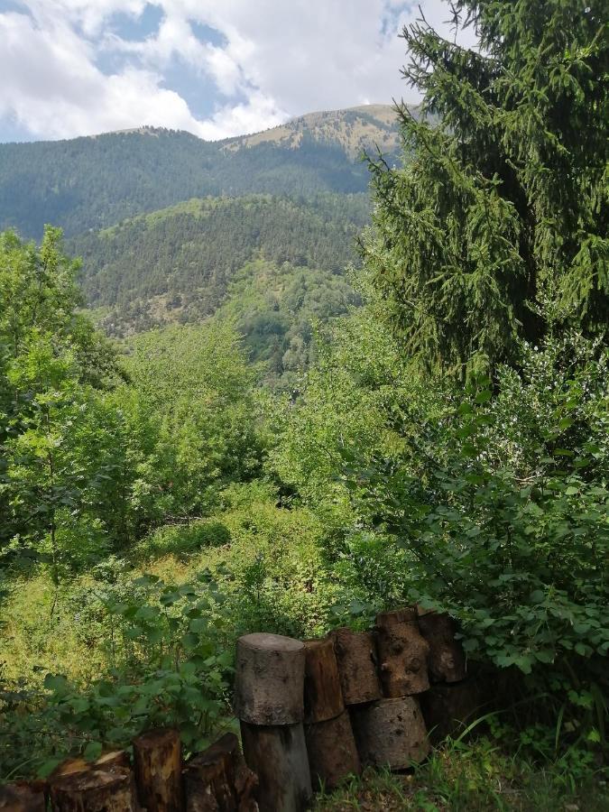 Chalet Le Tyrolien, Au Coeur Du Boreon Saint-Martin-Vesubie Bagian luar foto